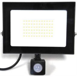 Noble Pays 50w LED Floodlight With Sensor