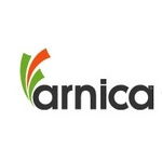 Arnica