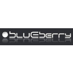 Blueberry