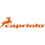 Capriolo