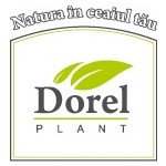 Dorel Plant