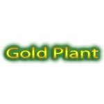 Gold Plant