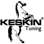 Keskin