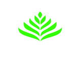 Organic India