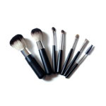 Makeup Brushes & Applicators