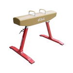 Gimnastica