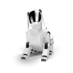 Roboti