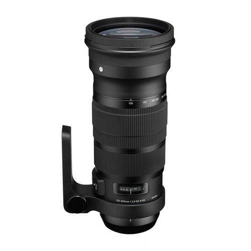 Sigma 120-300mm f/2.8 EX DG OS APO HSM - Sigma Sigma 120-300mm f/2.8 EX DG OS APO HSM - Sigma