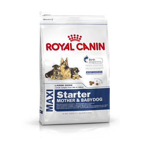 Royal Canin Maxi Starter 4Kg Royal Canin Maxi Starter 4Kg