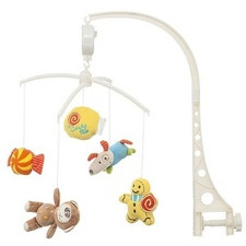 Chipolino Sweet