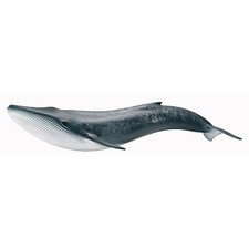 Schleich Blue whale
