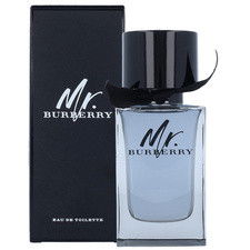 Burberry / Mr. Burberry - Eau de Toilette 100 ml