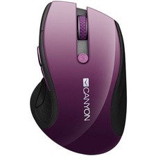 Canyon CNS-CMSW4