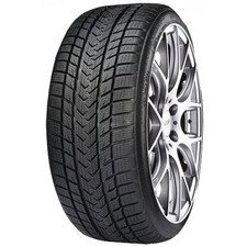 Gripmax Status Pro Winter 225/45R19 96V