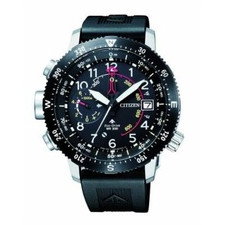 Citizen BN4044-15E