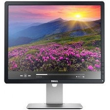 Dell P1913SB