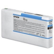 Epson C13T913200
