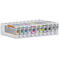 Epson C13T913900