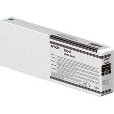 Epson C13T804800