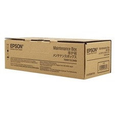 Epson C13T699700