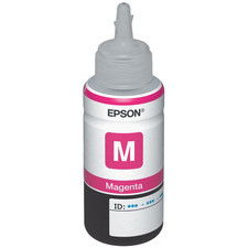 Epson C13T66434A