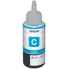 Epson C13T66424A