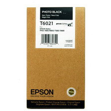 Epson C13T602100
