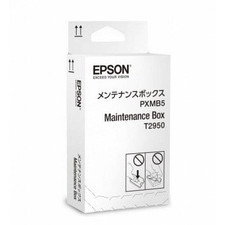 Epson C13T295000