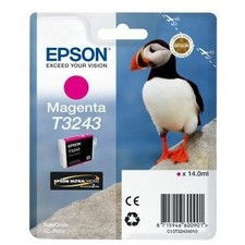 Epson C13T32434010