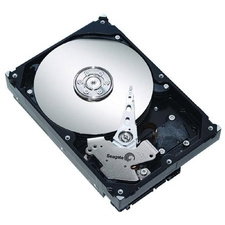 Seagate ST3750630SS