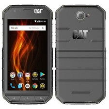 Cat S31
