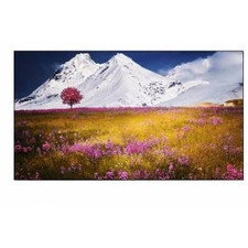 Elite Screens AR135WH2