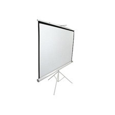 Elite Screens T99NWS1