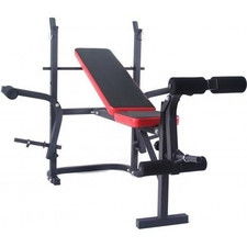 FitTronic B300