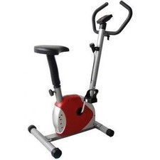 FitTronic 100B
