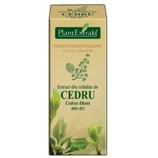 Extract din Mladite de Cedru 50ml - PlantExtrakt