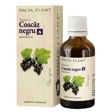Coacaz Negru Muguri 50ml - Dacia Plant