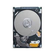 Seagate ST9160511NS