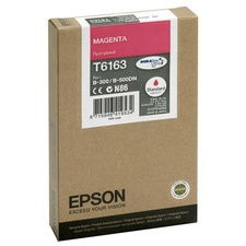 Epson T6163