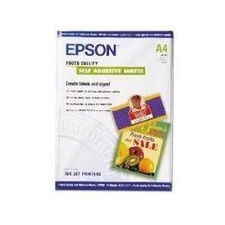 Epson S041106