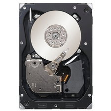 Seagate ST3450857SS
