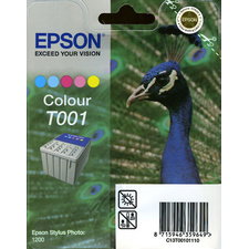 Epson T001