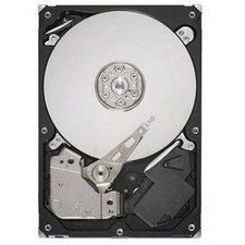 Seagate ST3320311CS