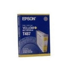 Epson T487