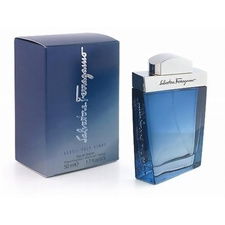 Salvatore Ferragamo / Subtil Pour Homme - Eau de Toilette 50 ml