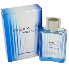Salvatore Ferragamo / Incanto Pour Homme - Eau de Toilette 100 ml
