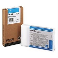 Epson T6022