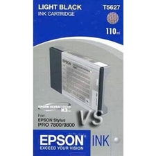Epson T6029