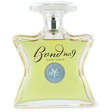 Bond No. 9 / Riverside Drive - Eau de Parfum 100 ml
