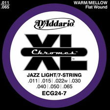 D'Addario ECG24